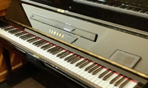 IMG_1013